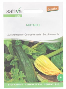 Semi di Zucchina Mutabile Sativa - 1