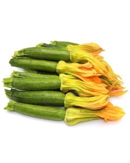 Semi di Zucchino Bolognese Bio - 1
