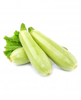 Semi di Zucchino Genovese Bio - 1