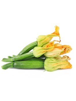 Semi di Zucchino Novus Bio - 1