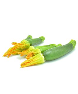 Semi di Zucchino Ortolana di Faenza Bio - 1