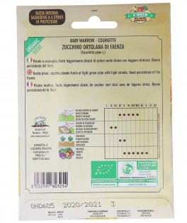 Semi di Zucchino Ortolana di Faenza Bio - 3
