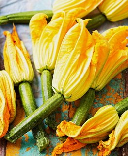 Semi di Zucchino Ortolana di Faenza Bio - 4