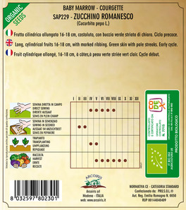 Semi di Zucchino Romanesco Bio - 2