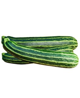 Semi di Zucchino San Pasquale Bio - 1