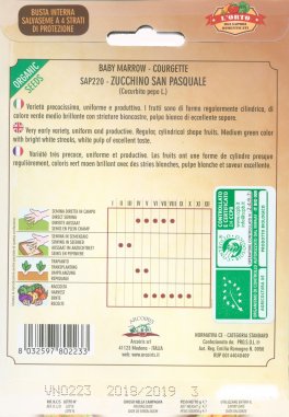 Semi di Zucchino San Pasquale Bio - 3