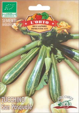Semi di Zucchino San Pasquale Bio - 2