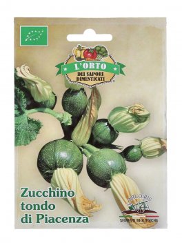 Semi di Zucchino Tondo di Piacenza Bio - 2