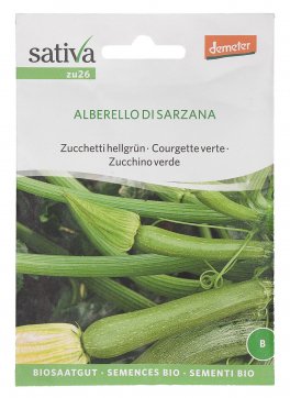 Semi di Zucchino Verde Bio - Alberobello di Sarzana - 1
