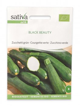 Semi di Zucchino Verde Black Beauty Bio - 1