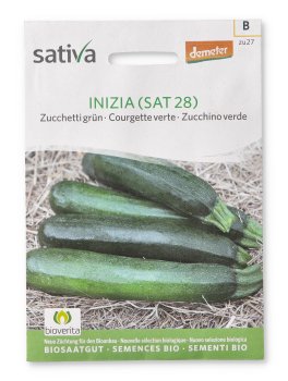 Semi di Zucchino Verde "Inizia" Bio - 1