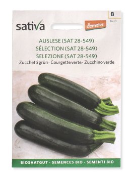 Semi di Zucchino Verde Scuro - 1