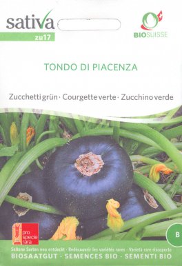 Semi di Zucchino Verde Tondo di Piacenza Bio - 1