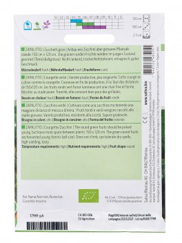 Semi di Zucchino Verde Zapalitto Bio - 2