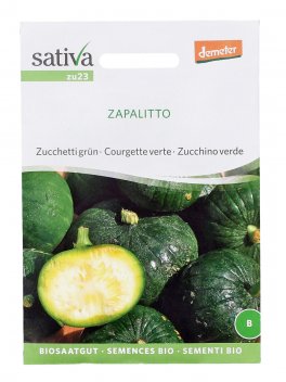 Semi di Zucchino Verde Zapalitto Bio - 1