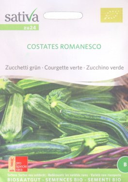 Semi di Zucchio Verde Costates Romanesco - 1