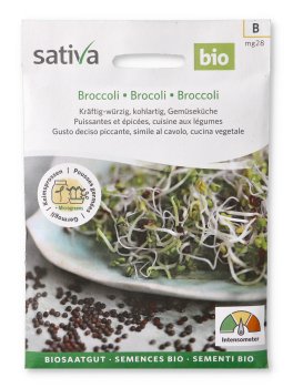 Semi per Germogli - Broccoli - 1