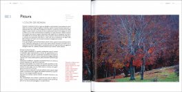 Sentieri Bonsai - Volume II — Libro - 3