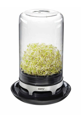 Serra Piccola Bivita - Sprossenglas