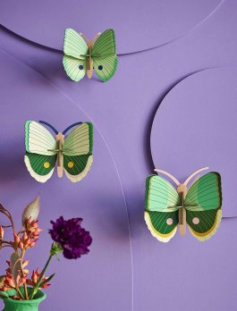 Set 3 Decorazioni da Parete 3D - Fern Striped Butterflies - 3
