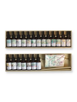 Set Completo Spirito degli Alberi in Gocce: 13 Pionieri + 7 Luminosi - 3