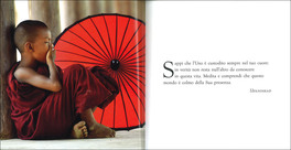 Sette Volte Cadi, Otto Rialzati — Libro - 3