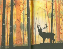 Sguardi nella Natura — Libro - 3