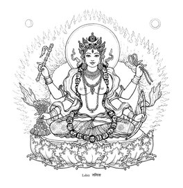 Shakti - Divinità Femminili, Mandala e Geometrie Sacre — Libro - 4