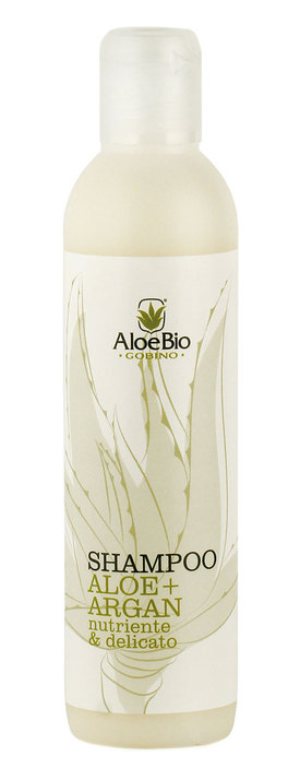 Shampoo Aloe + Argan