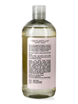 Shampoo Anti Forfora - 3