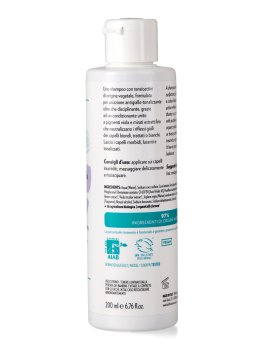 Shampoo Antigiallo Tonalizzante - 2
