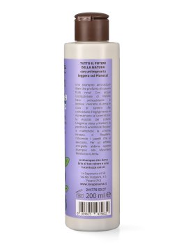 Shampoo Antiossidante - Mirtillo bio e Arginina - 2