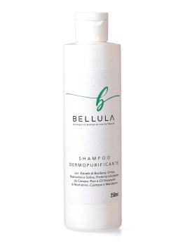 Shampoo Dermopurificante - 1
