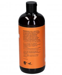 Shampoo Doccia Agrumato - 2