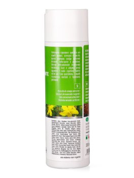 Shampoo Ristrutturante Canapa e Olio di Lino - 2