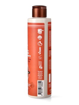 Shampoo ristrutturante Capelli Secchi o Sfibrati - 2