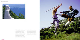 Shaolin - Alle Origini dello Zen e del Kung Fu — Libro - 2
