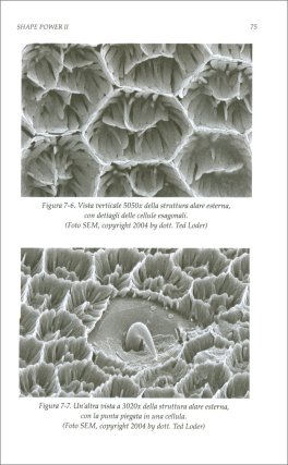 Shape Power II — Libro - 3