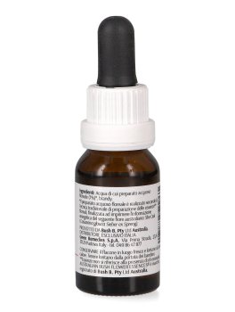 She Oak - Essenza Floreale Australiana Singola - 3