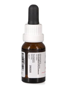 She Oak - Essenza Floreale Australiana Singola - 2