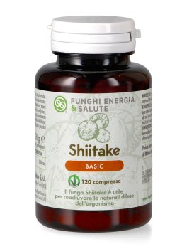 Shiitake Basic - 1