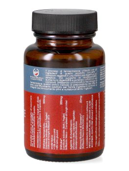 Shiitake Fermentato - 50 Capsule - 2
