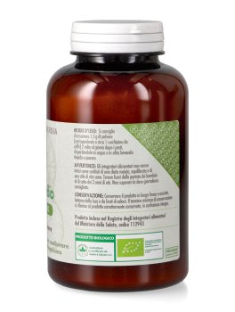 Shiitake Polvere Bio - 2