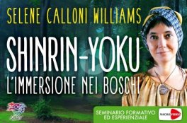 Video Corso - Shinrin-yoku: Immersione Nei Boschi — Digitale - 1