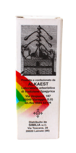 Shitake Gocce - MTS18 - 2
