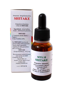 Shitake Gocce - MTS18 - 1