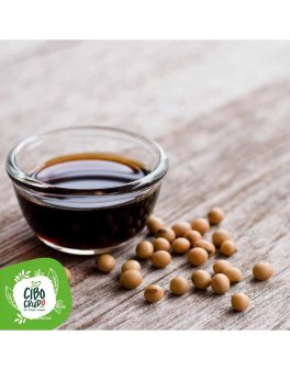 Shoyu - Salsa di Soya Bio - 4