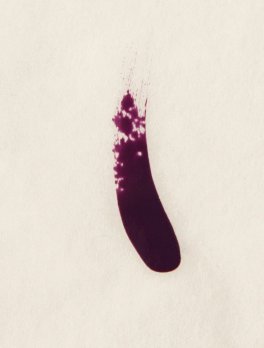 Shoyu - Smalto per Unghie - 4