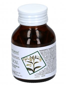 Silical - Integratore di Estratti Vegetali - 1