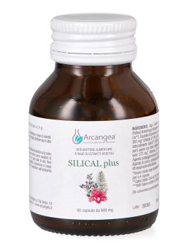 Silical Plus - Capsule - 2